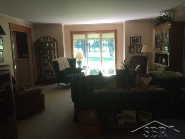 12215 Krieger Road Birch Run, MI 48415 - Photo 3 of 46 31254877-2.JPG