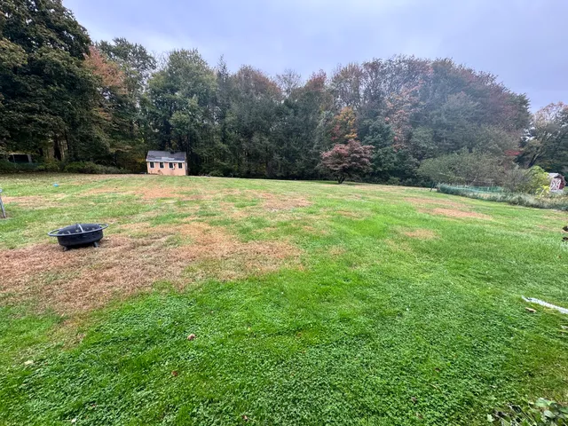 a view of a swimming pool with a yard