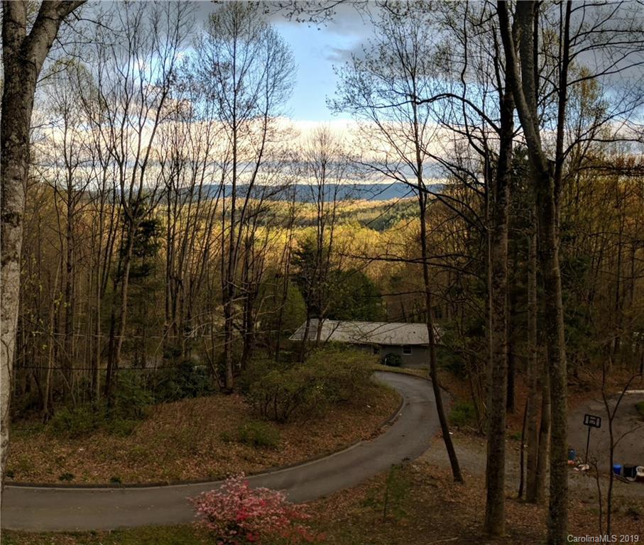17 Finlay Ridge Road Hendersonville, NC 28739 - Photo 24 of 32 a backyard of a house with lots of green space