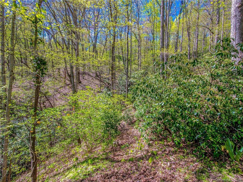 17 Finlay Ridge Road Hendersonville, NC 28739 - Photo 5 of 32 a view of a garden