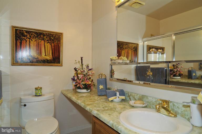 15105 Joshua Tree Road North Potomac, MD 20878 - Photo 11 of 20 Bath (Master)