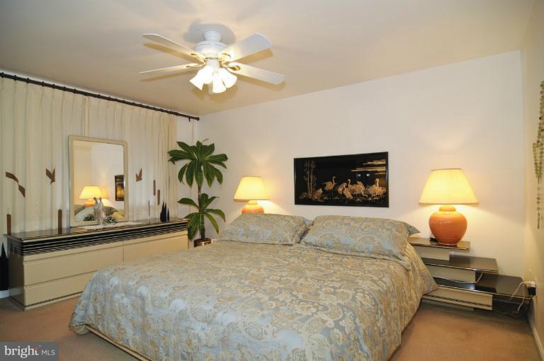 15105 Joshua Tree Road North Potomac, MD 20878 - Photo 10 of 20 Bedroom (Master)