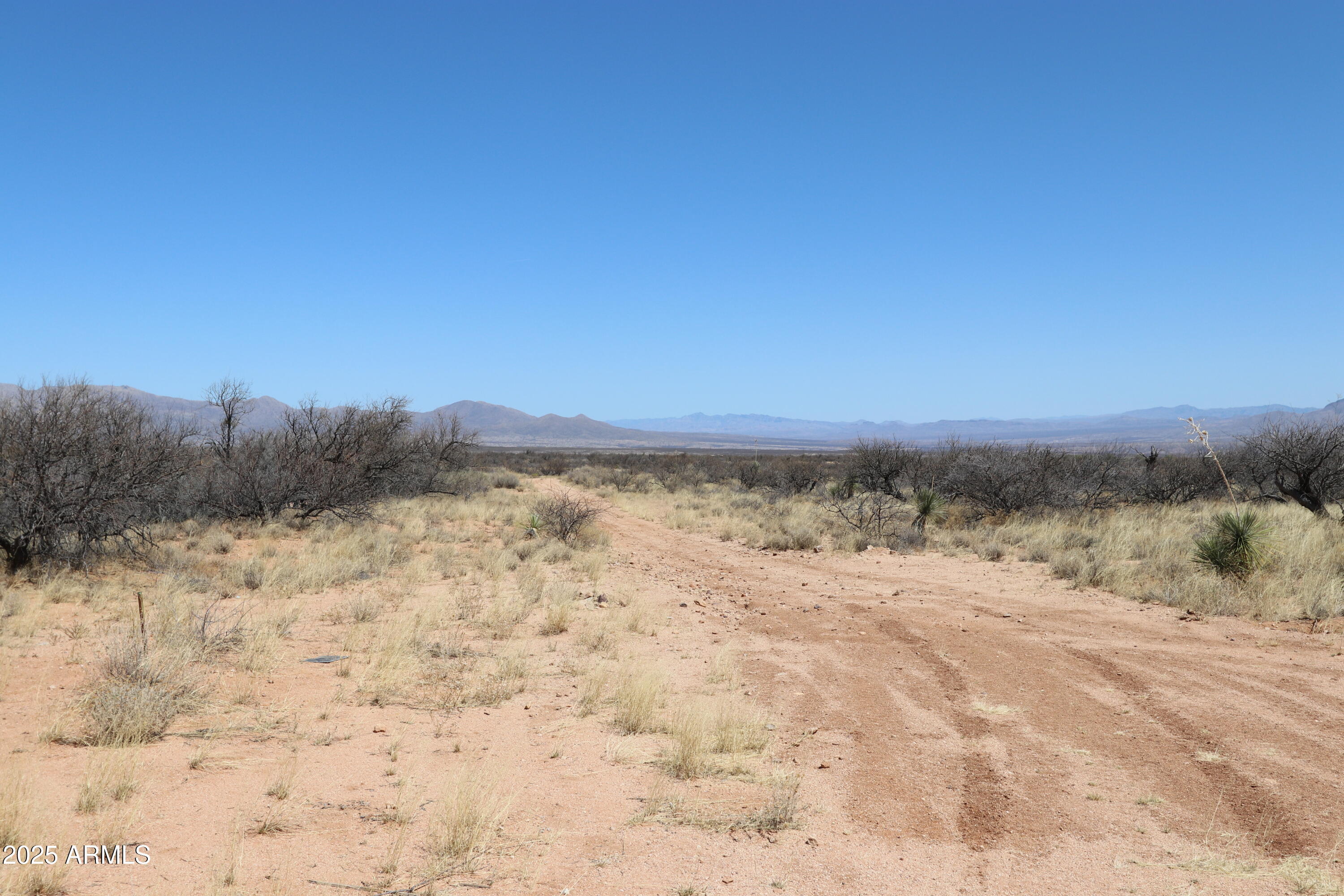 Tbd North Wildcat Place Benson, AZ 85602 - Photo 13 of 13 a view of beach with a mountain in the background
