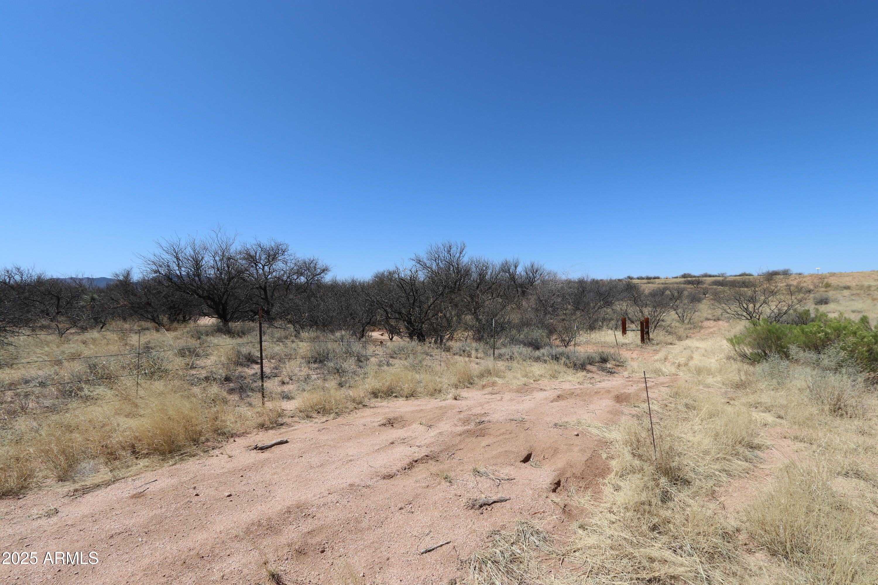 Tbd North Wildcat Place Benson, AZ 85602 - Photo 2 of 13 a view of a dry yard with mountains in the background
