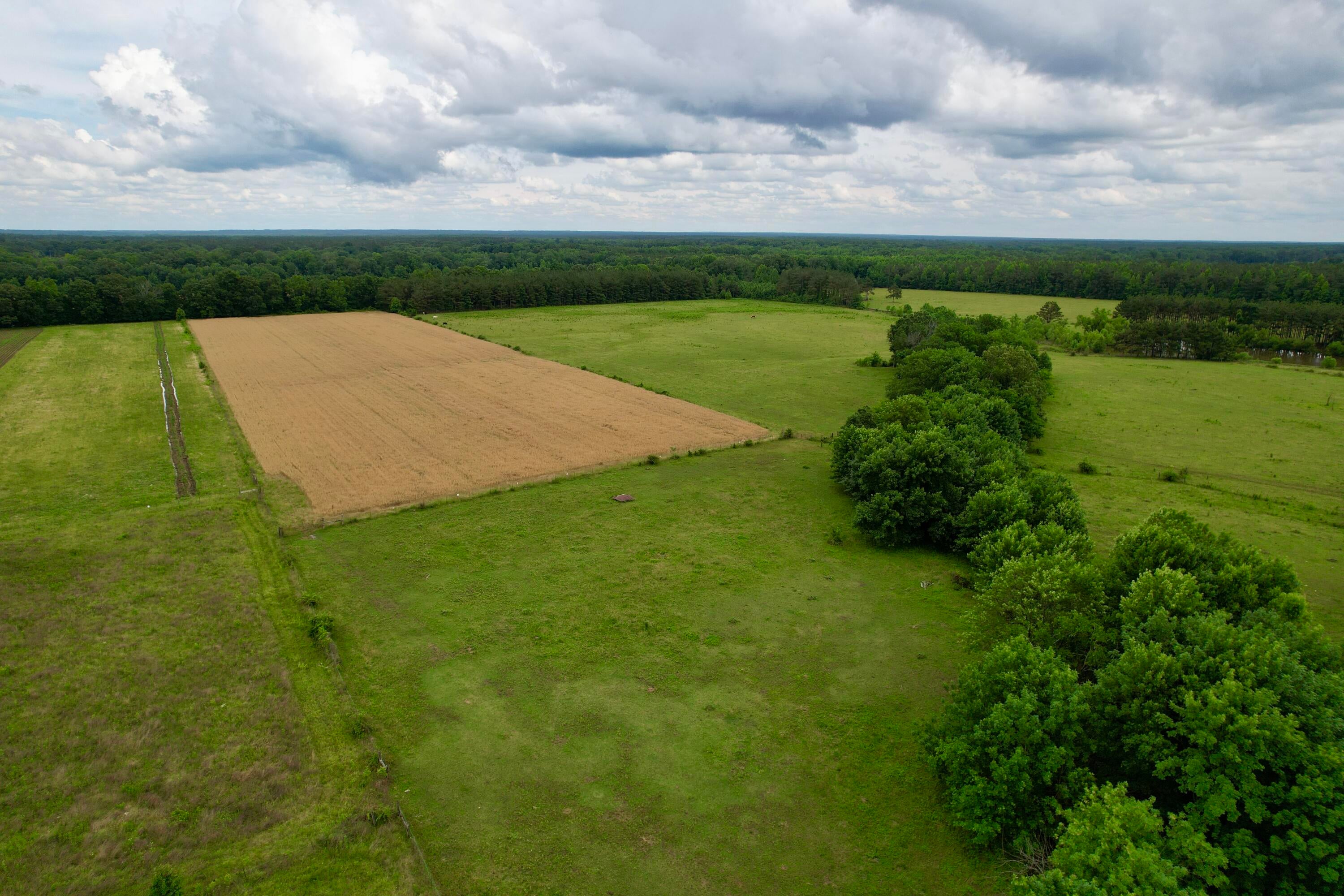 4547 Salmon Road Pontotoc, MS 38863 - Photo 38 of 61 image00012