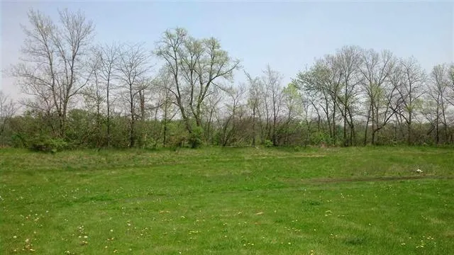 a view of outdoor space with green field and trees