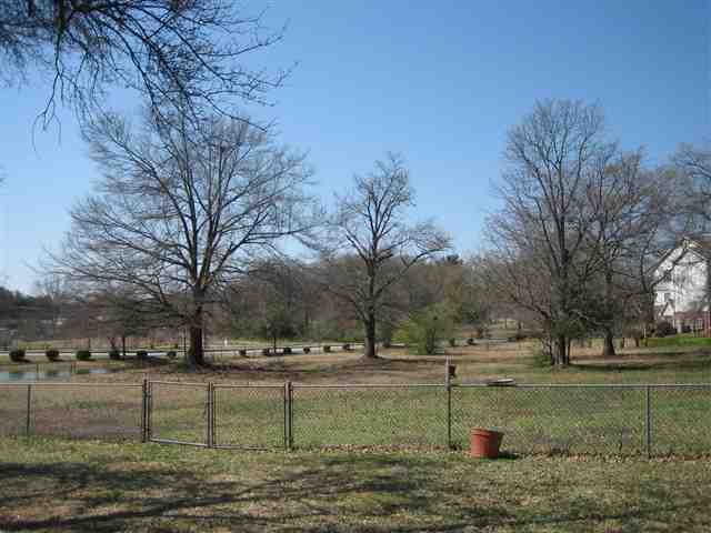 722 South Line Street Greer, SC 29651 - Photo 11 of 25 Gallery Image 11