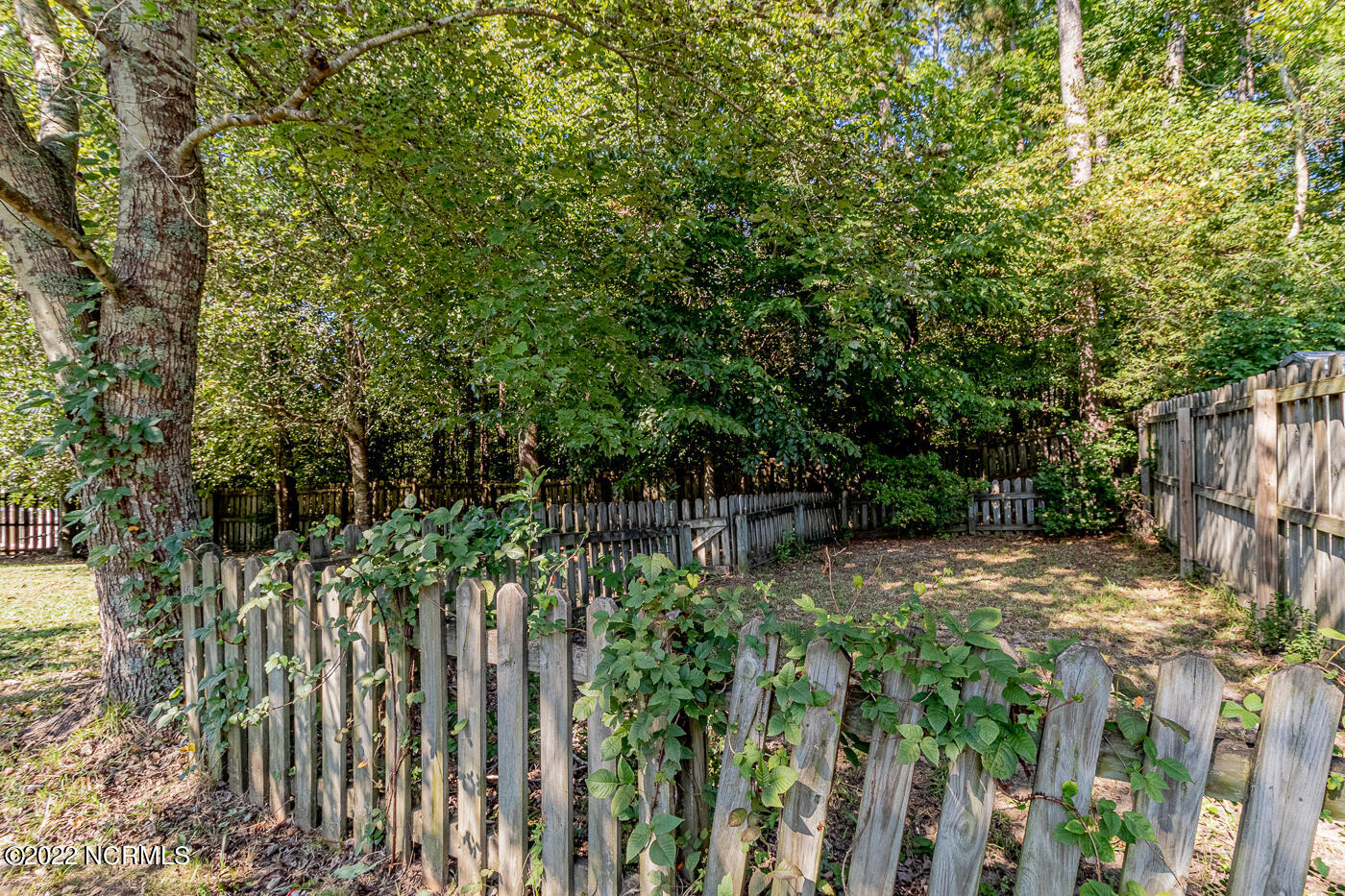 536 Raintree Road Jacksonville, NC 28540 - Photo 38 of 40 raintree-35