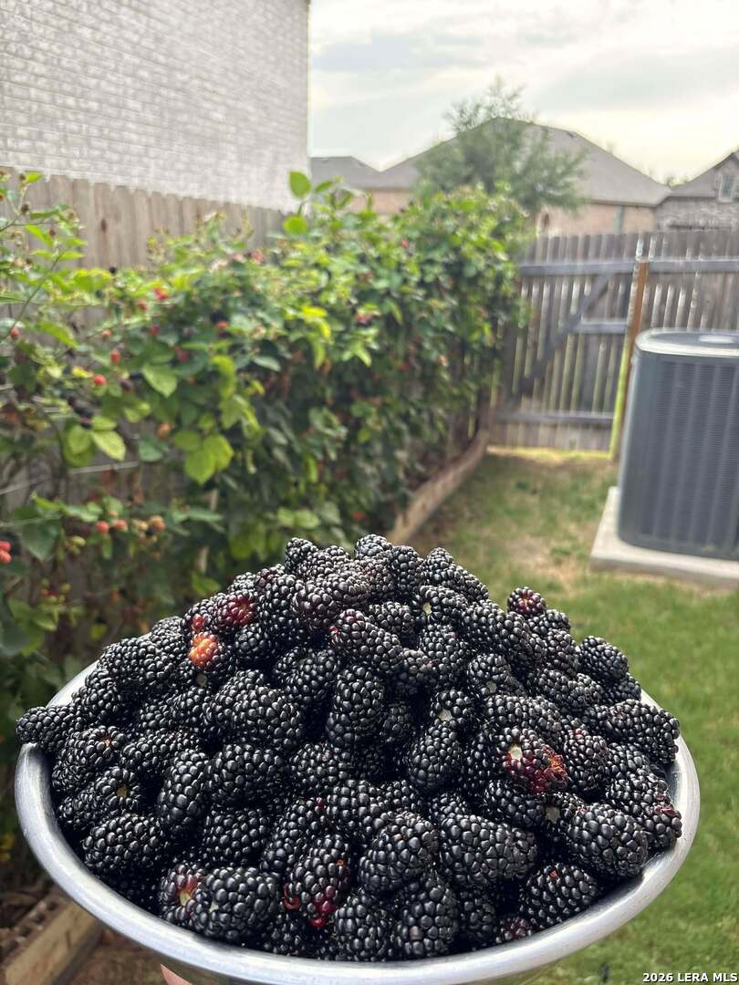 12260 Buckaroo Ranch San Antonio, TX 78254 - Photo 34 of 45 a view of a bird bath