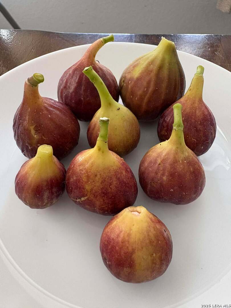 12260 Buckaroo Ranch San Antonio, TX 78254 - Photo 36 of 45 a view of two sinks and a chandelier fan