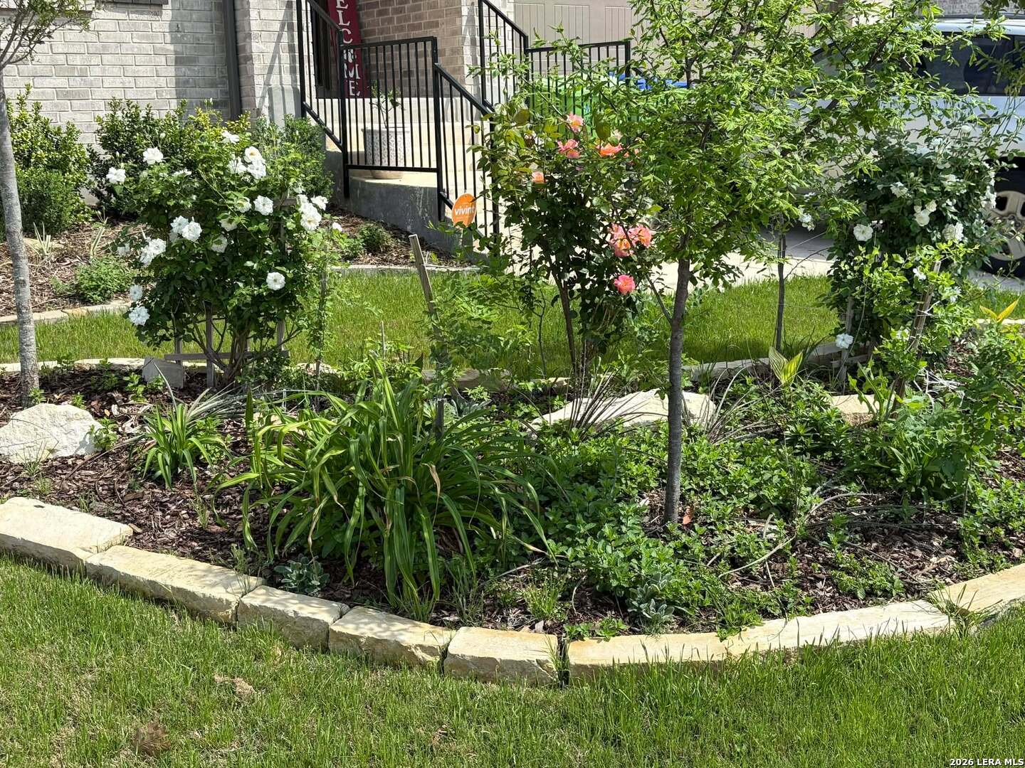 12260 Buckaroo Ranch San Antonio, TX 78254 - Photo 7 of 45 a view of a backyard