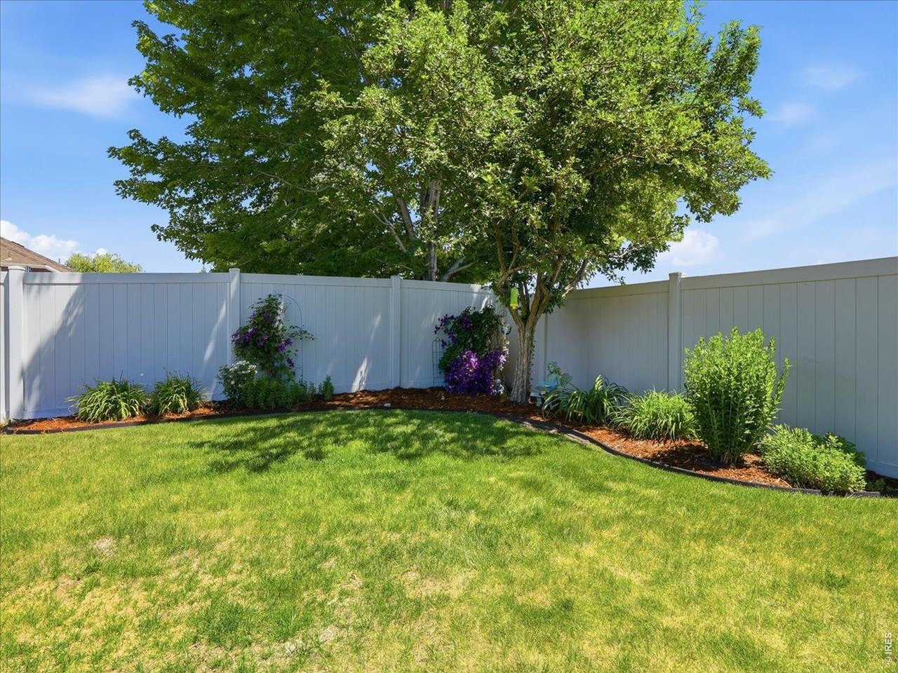 332 Whitney Bay, Unit BAY Windsor, CO 80550 - Photo 14 of 14