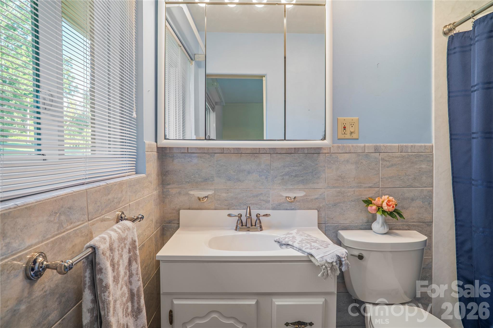1235 Ashby Lane Hendersonville, NC 28791 - Photo 36 of 45