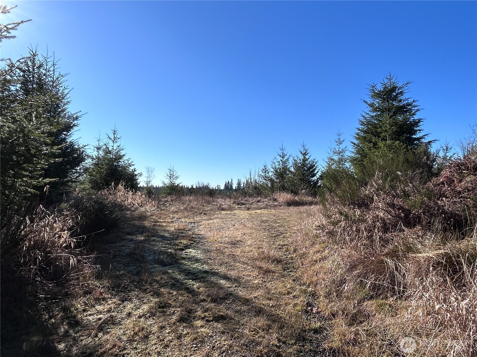 a view of a lake with mountains in the background