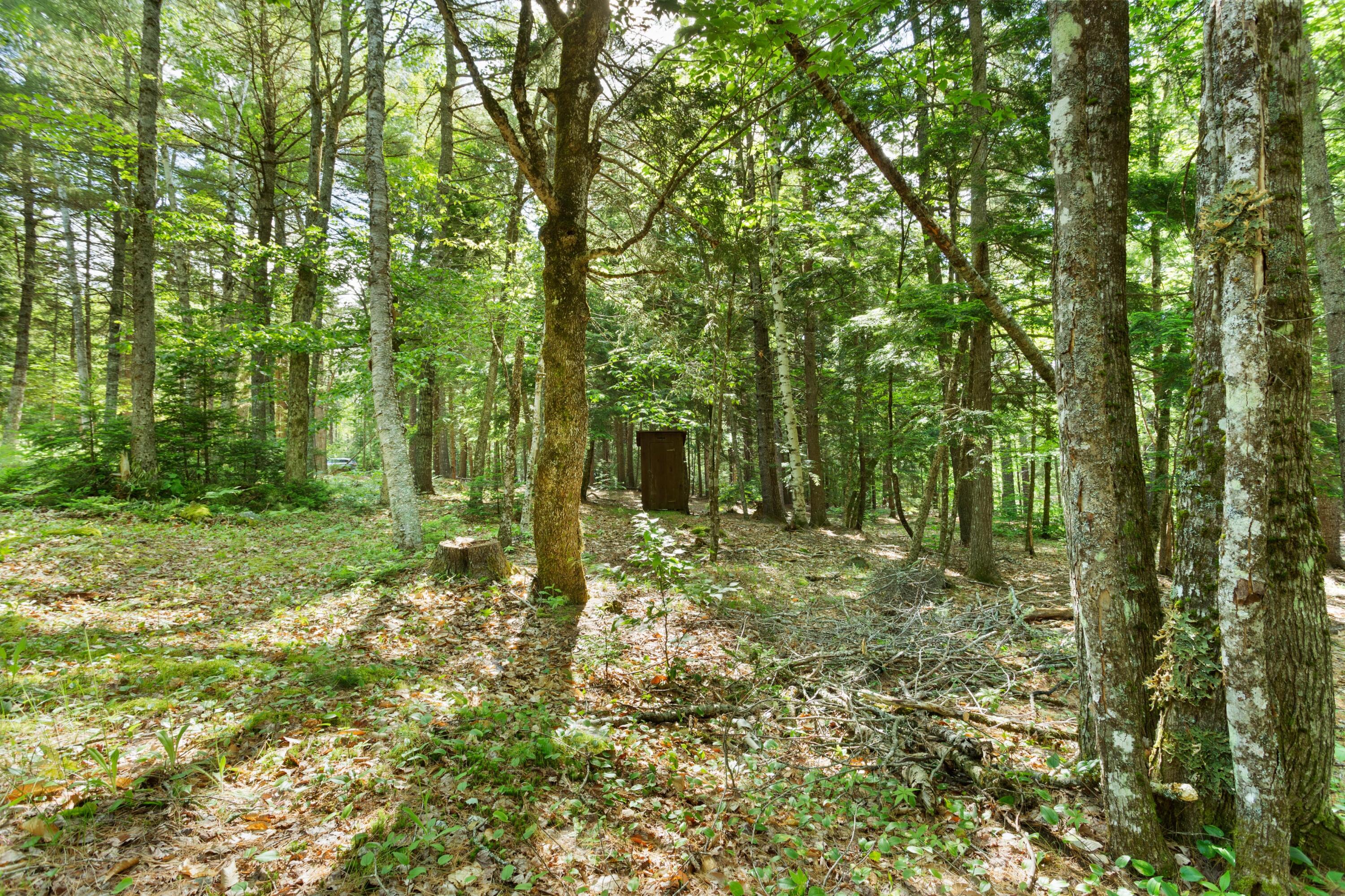 1214 Macomber Mill Road Eastbrook, ME 04634 - Photo 29 of 31 Original Privy