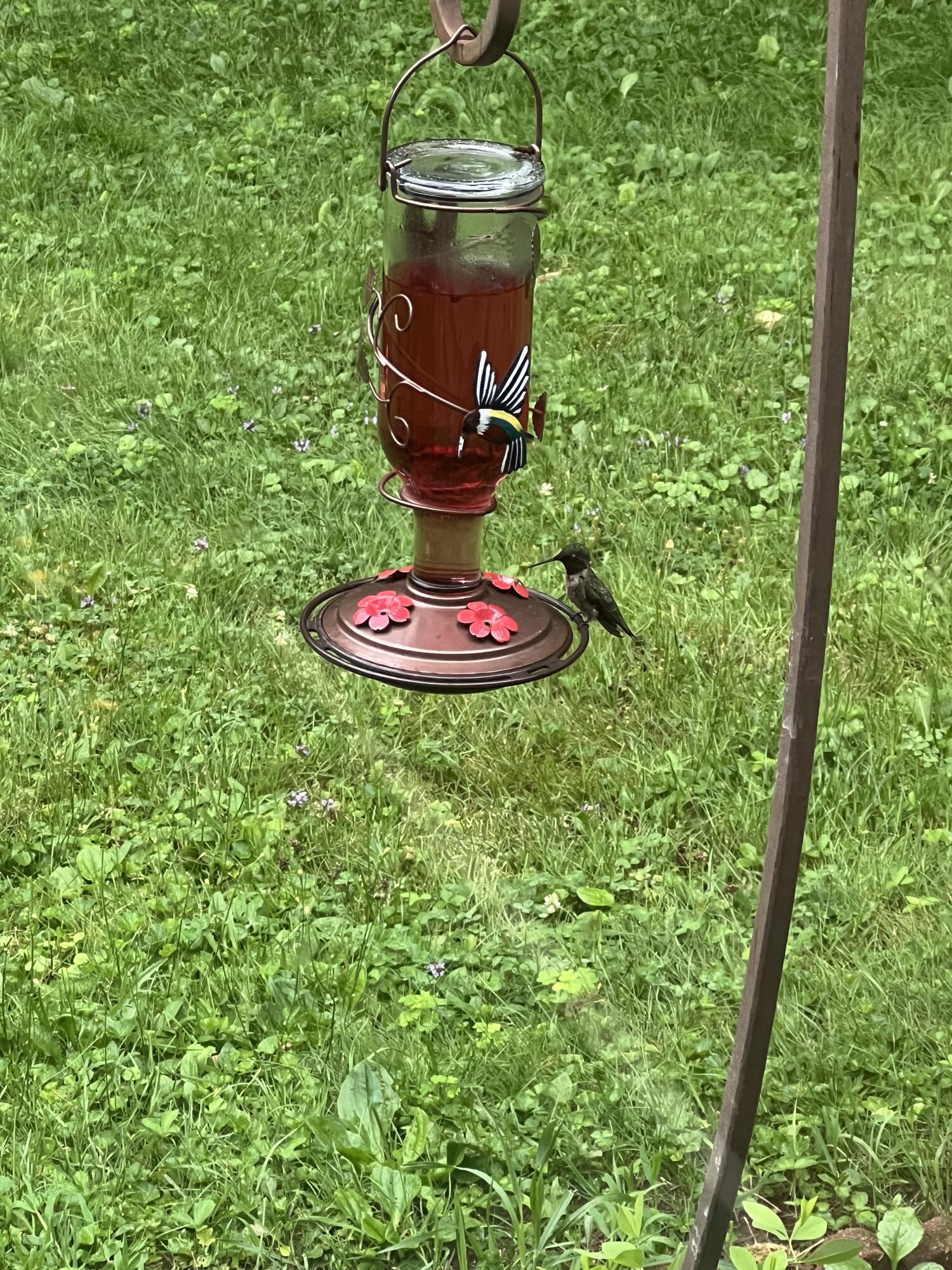 19 Riggs Road Casco, ME 04015 - Photo 17 of 50 Humming Bird 1