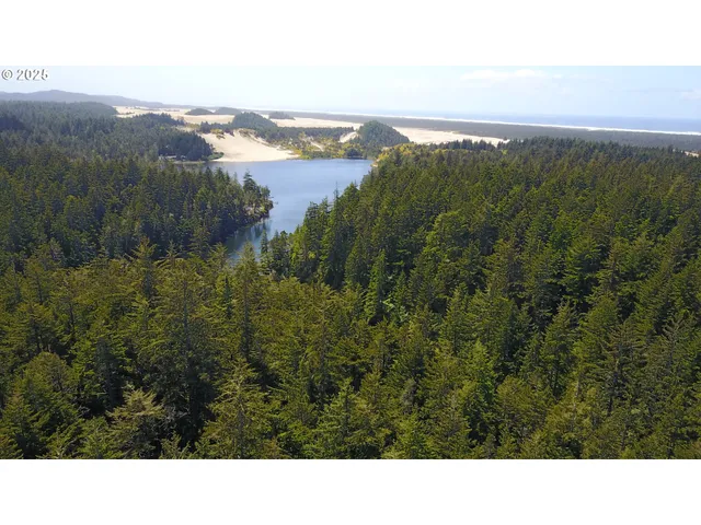 a black and white photo of a lake