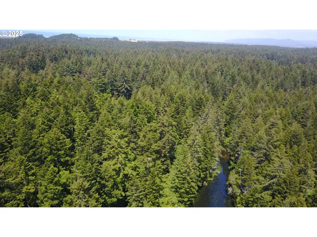 a black and white photo of a lake