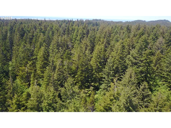 a black and white photo of a green field