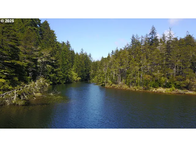 a black and white photo of a lake