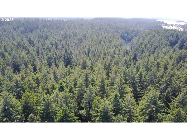 a view of a green field