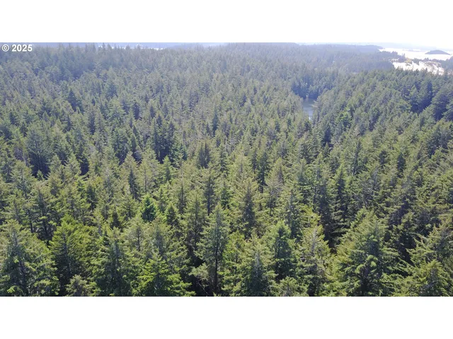 a view of a green field