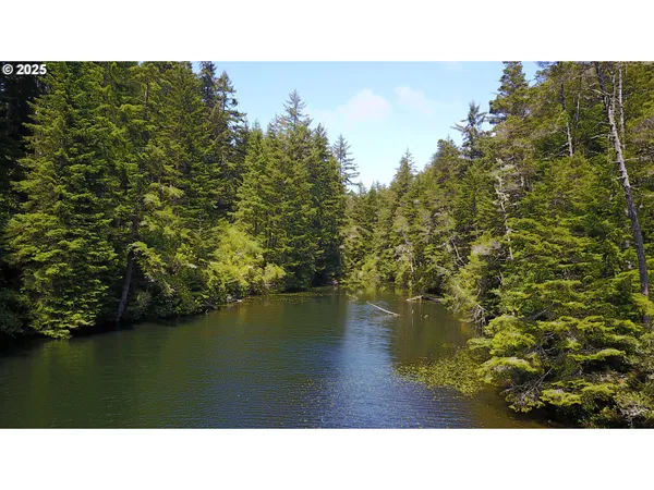 a black and white photo of a lake