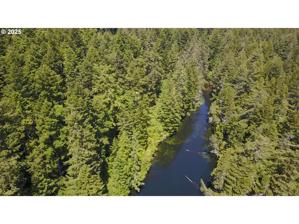 a black and white photo of a green field
