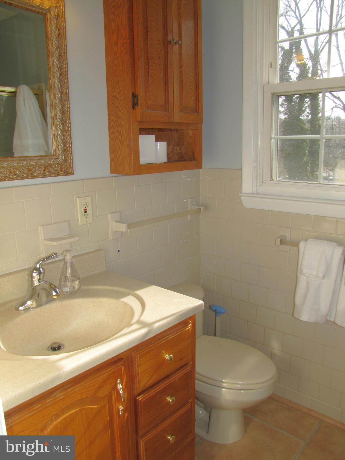 1029 Breezewick Road Towson, MD 21286 - Photo 11 of 24 Bath (Master)