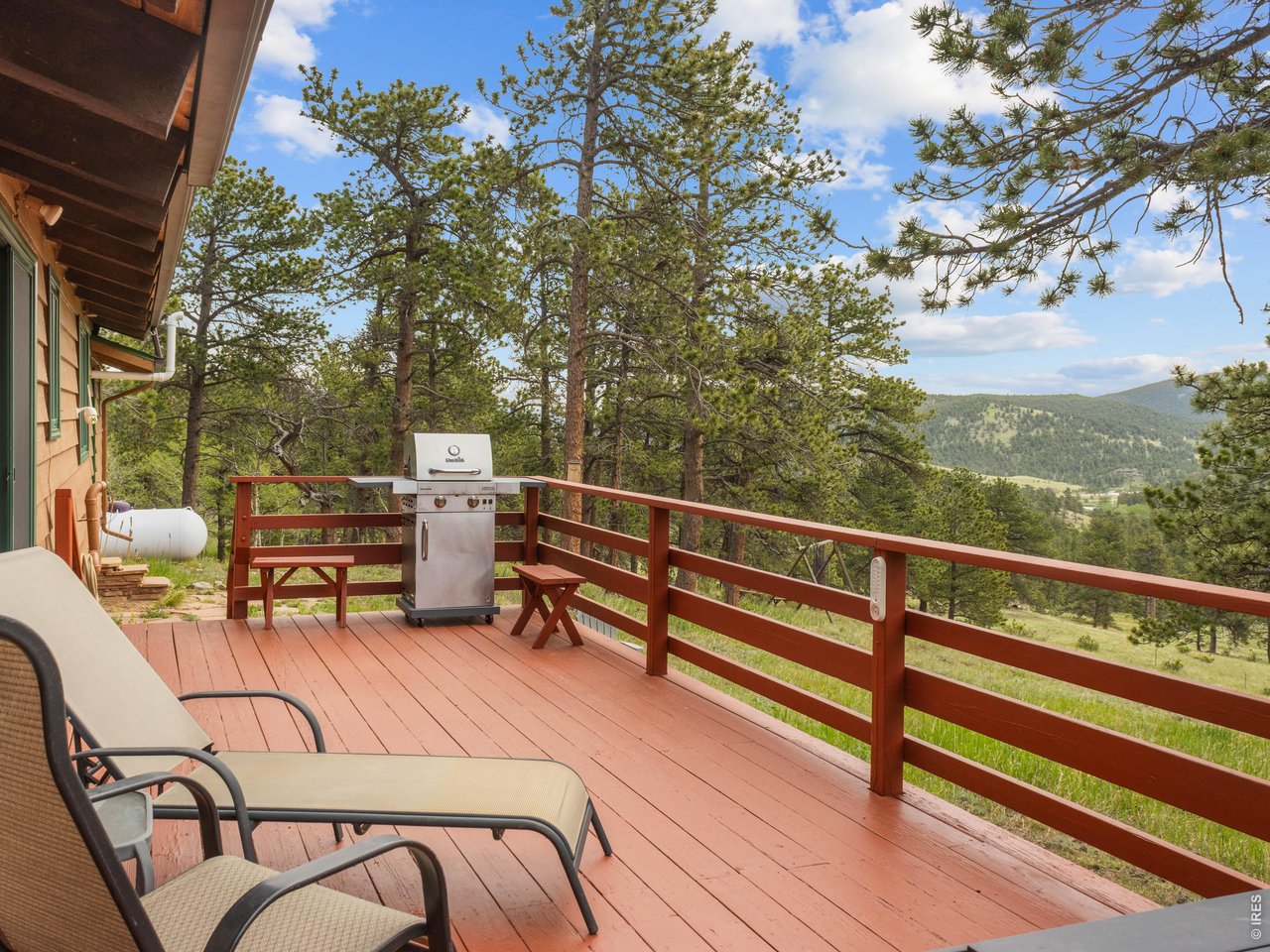 839 Ski Road Allenspark, CO 80510 - Photo 3 of 38
