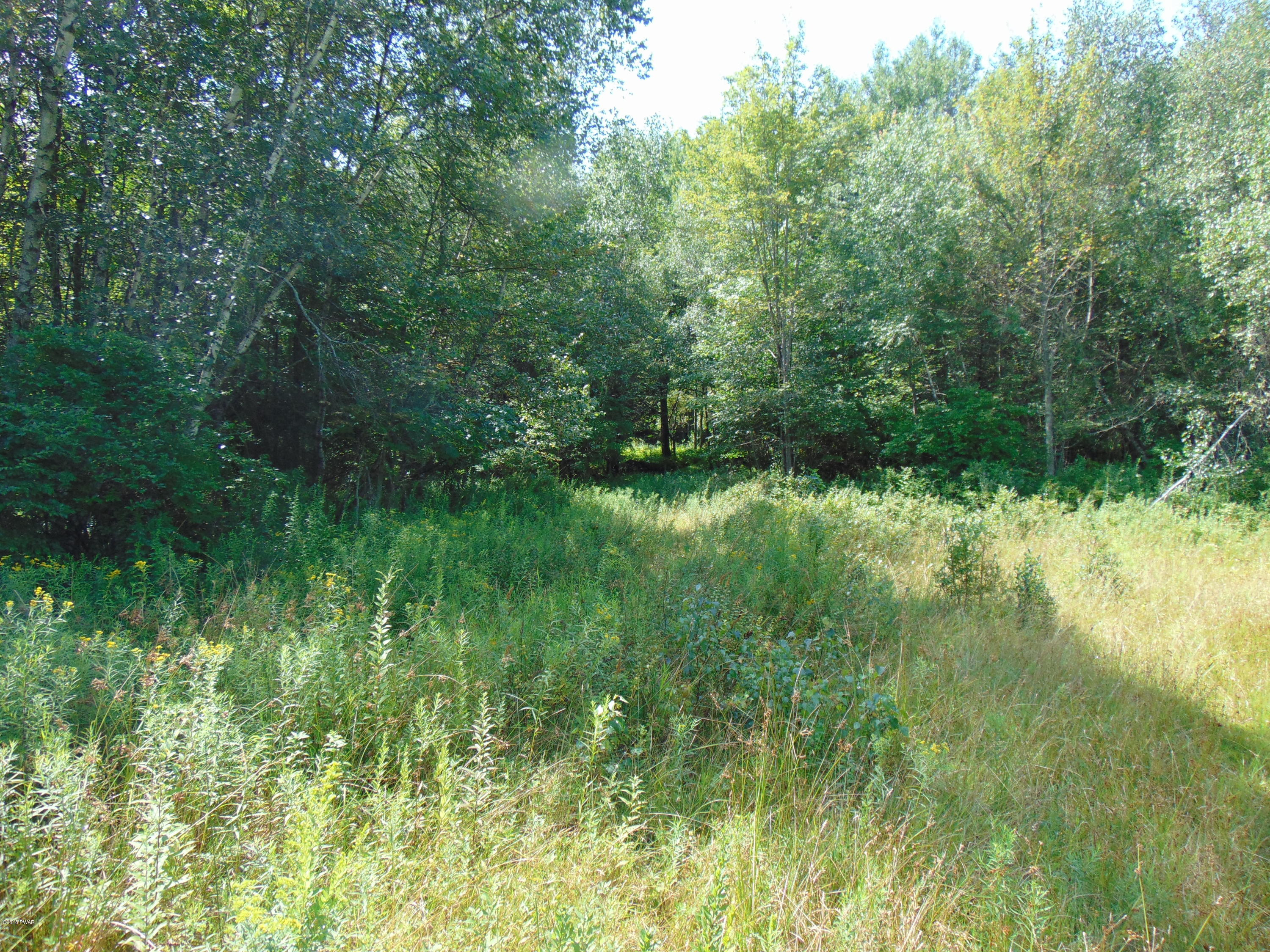 124 Peet Road Newfoundland, PA 18445 - Photo 26 of 33 DSC00414