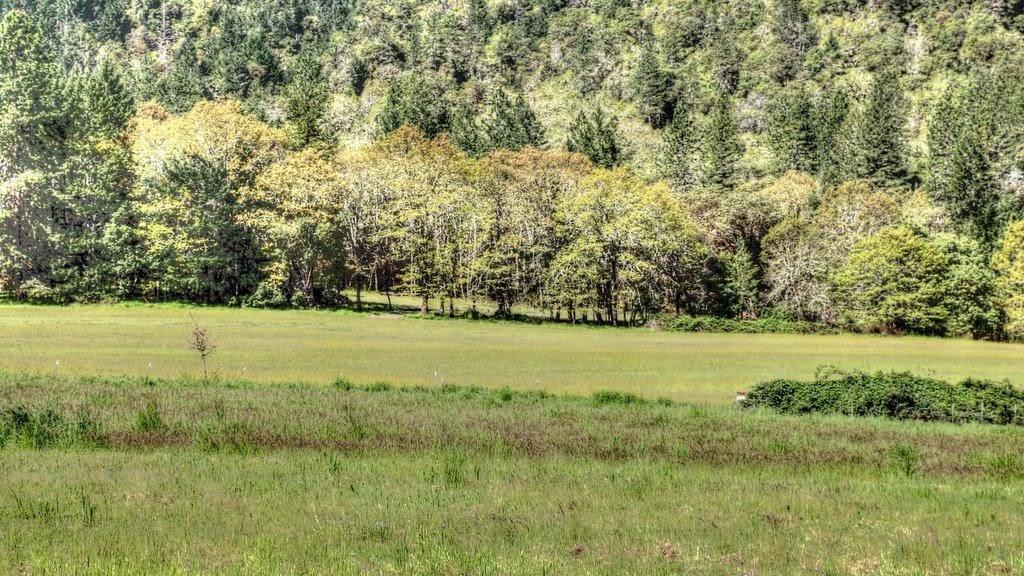 9395 Old Stage Road Central Point, OR 97502 - Photo 9 of 15 Additional Photo
