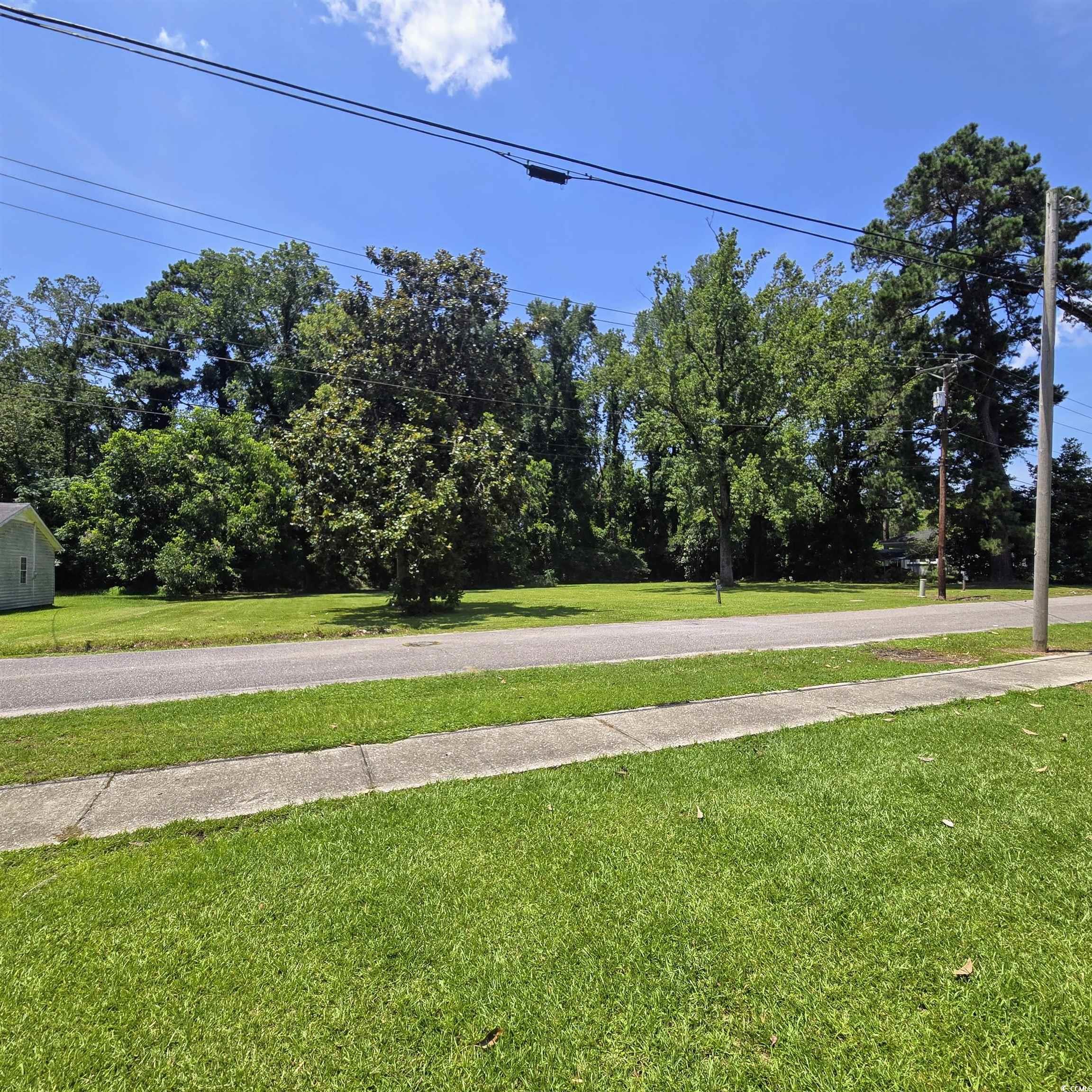 3629 Sanderson Street Loris, SC 29569 - Photo 1 of 2 View of green lawn with view of wooded area
