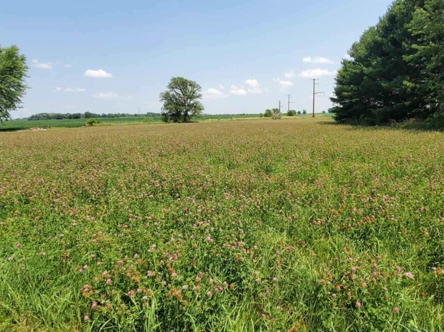 44W695 Scott Road Sugar Grove, IL 60554 - Photo 11 of 34 a view of an ocean and a yard