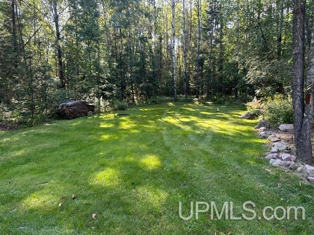 W8718 Dow Dam Road Amberg, WI 54102 - Photo 40 of 52 Gallery Image 40