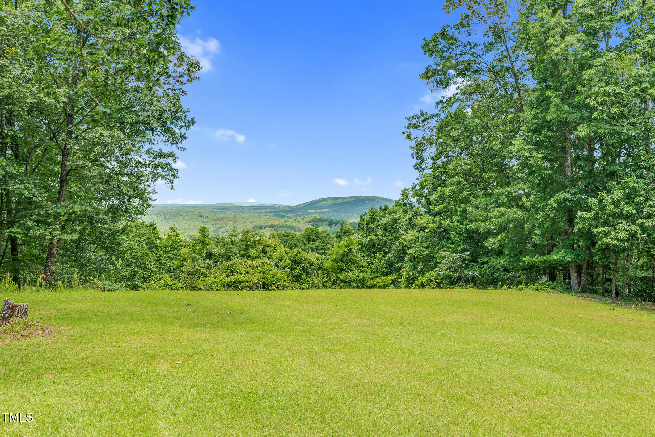 0 Cherry Street Danbury, NC 27016 - Photo 60 of 95 Singletree-60