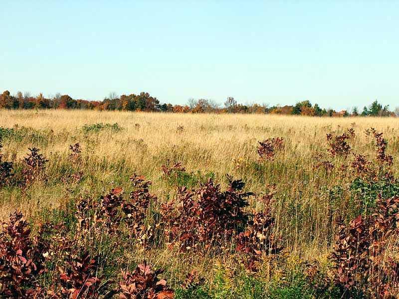 Lot 33 Fletcher Road Monticello, ME 04760 - Photo 16 of 24 Land.