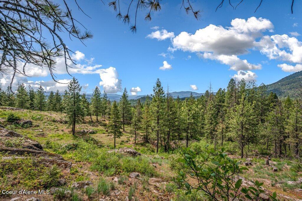 90 Riverview Circle Sandpoint, ID 83864 - Photo 77 of 84 --73.jpg-SMALL