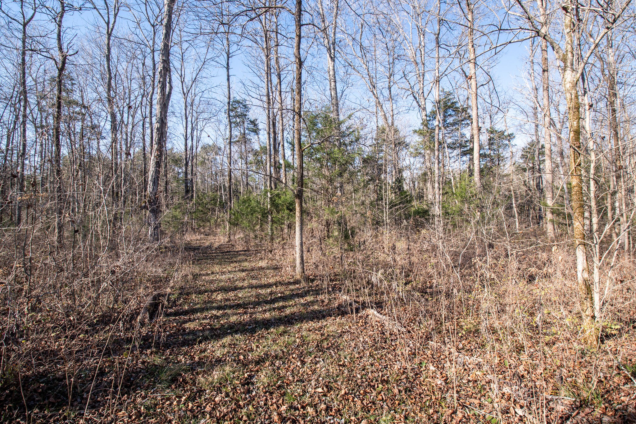 2713 Newcut Road Columbia, TN 38401 - Photo 31 of 38 Gallery Image 31