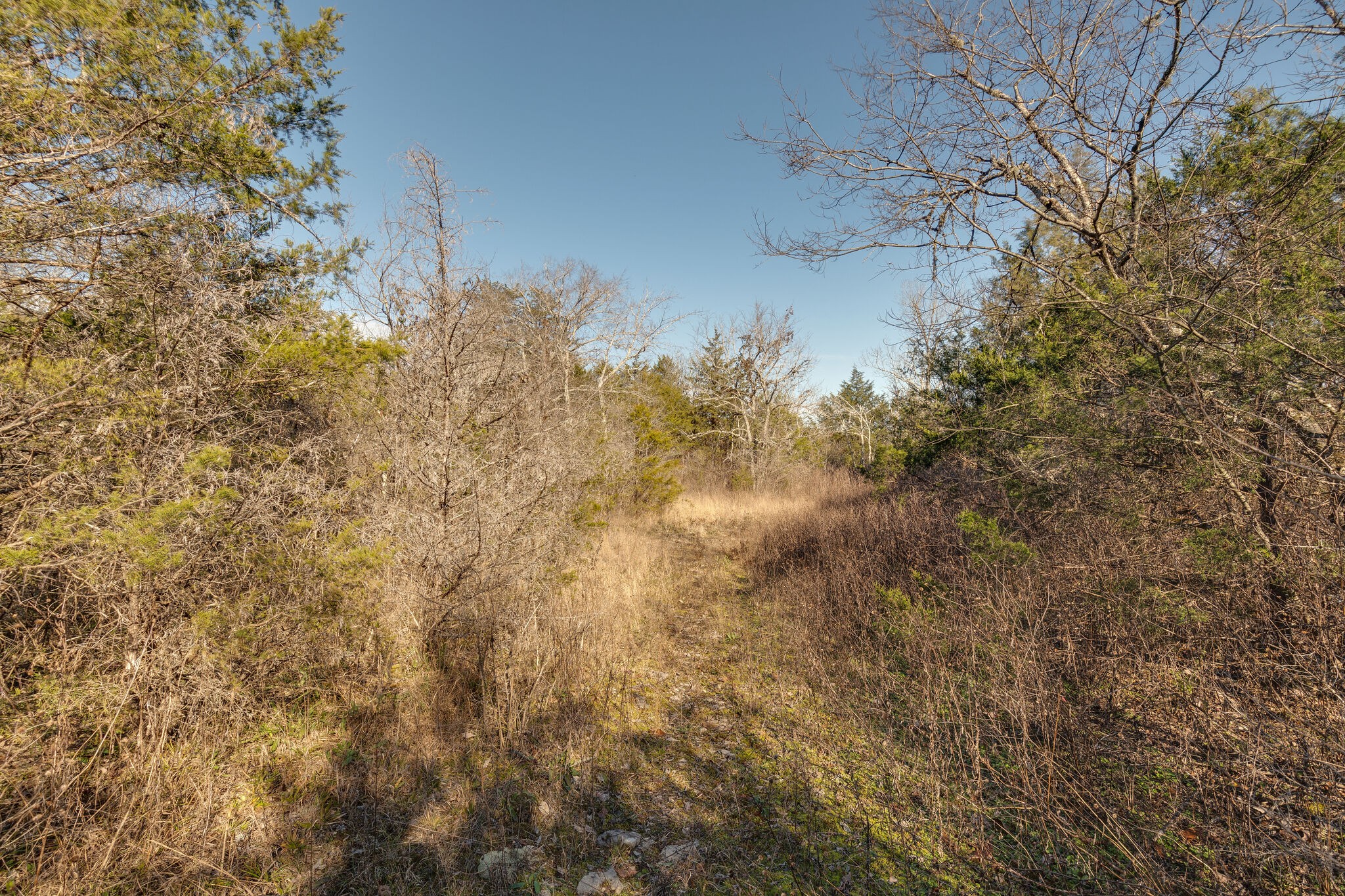 2713 Newcut Road Columbia, TN 38401 - Photo 32 of 38 Gallery Image 32