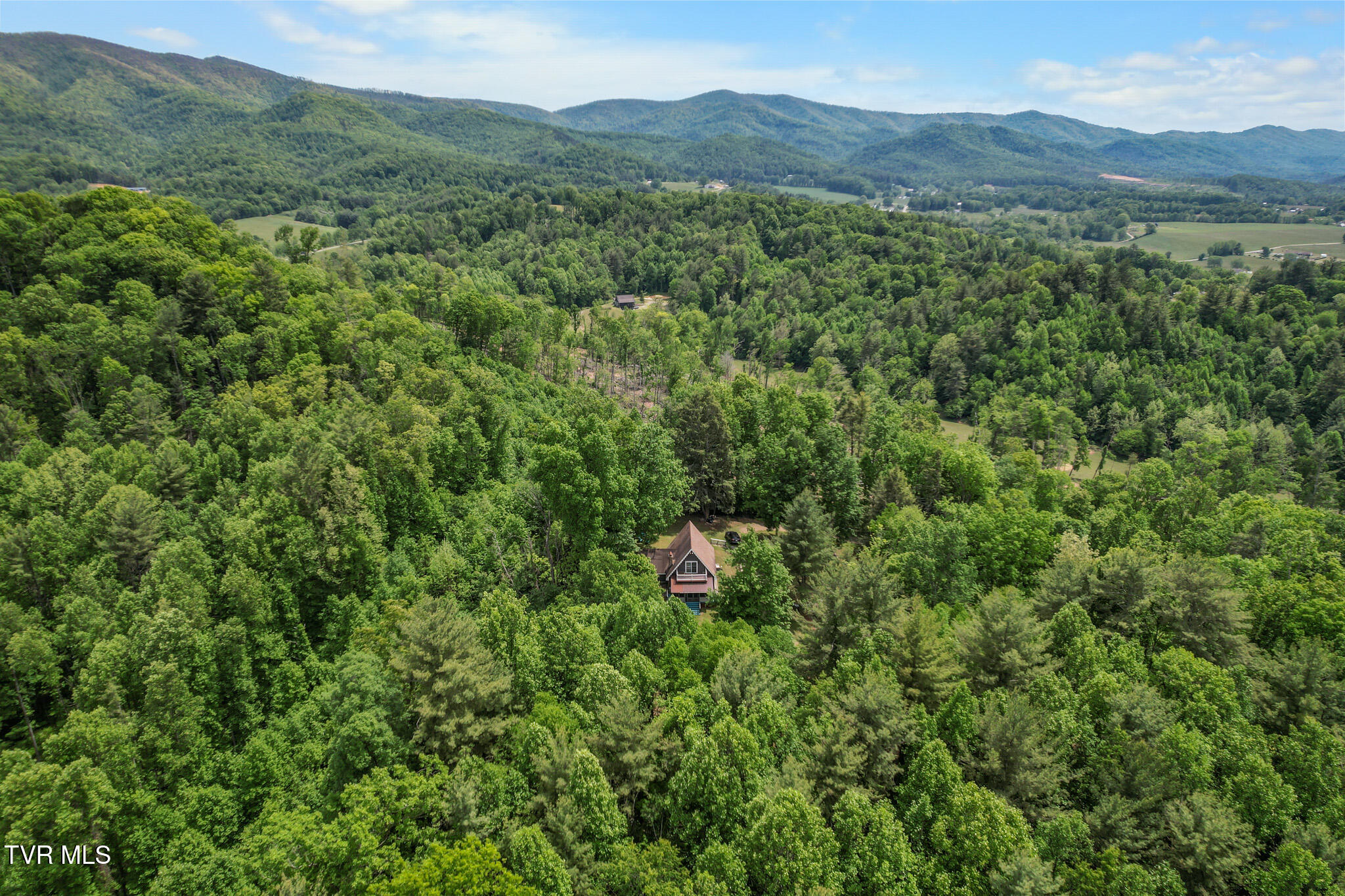 929 Noah Snyder Road Mountain City, TN 37683 - Photo 10 of 46 DJI_0016