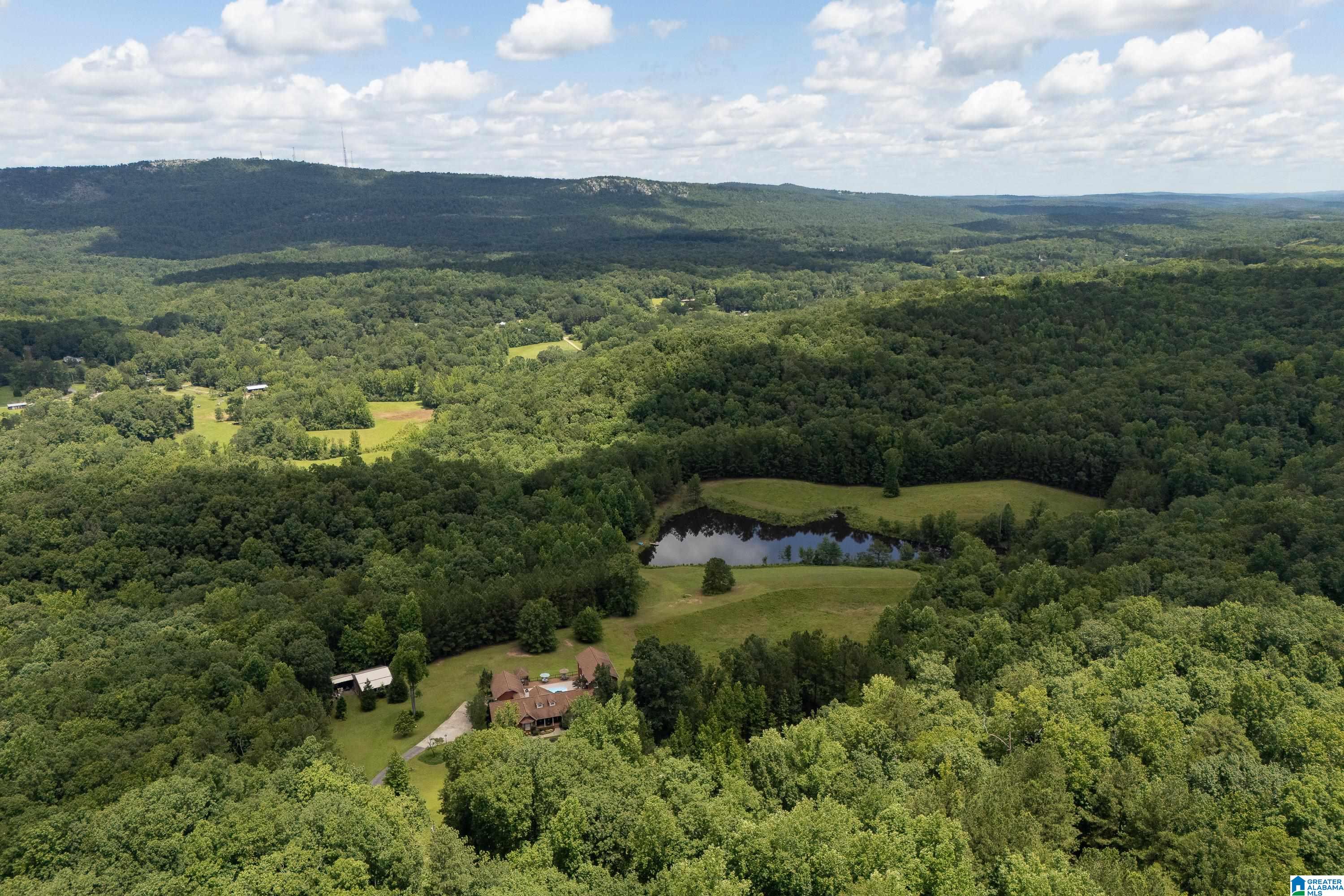 320 Wolf Pen Ridge Road Pell City, AL 35128 - Photo 97 of 100