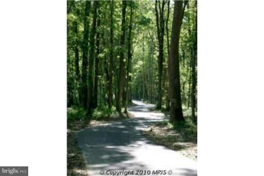 4506 Grazing Way Upper Marlboro, MD 20772 - Photo 8 of 12 a picture of a yard with a trees