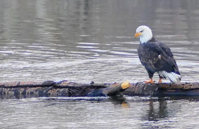 $315,000 | 639 North Riverpoint Boulevard, Unit H103, Spokane, WA 99202