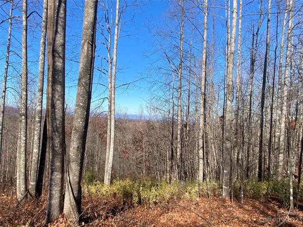 $34,500 | Tbd Meditation Rdg Dr Extension, Unit 43, Nebo, NC 28761