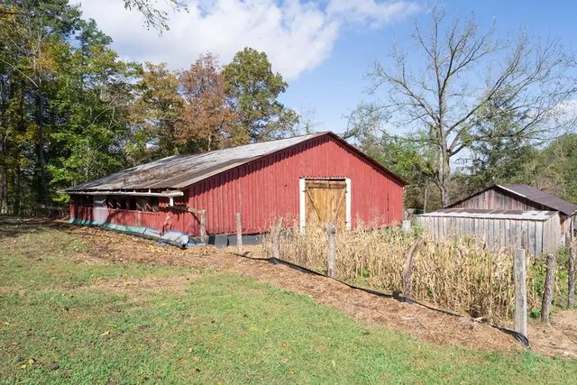 a view of a yard with plants and trees