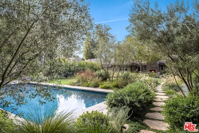 a view of a lake with a tree