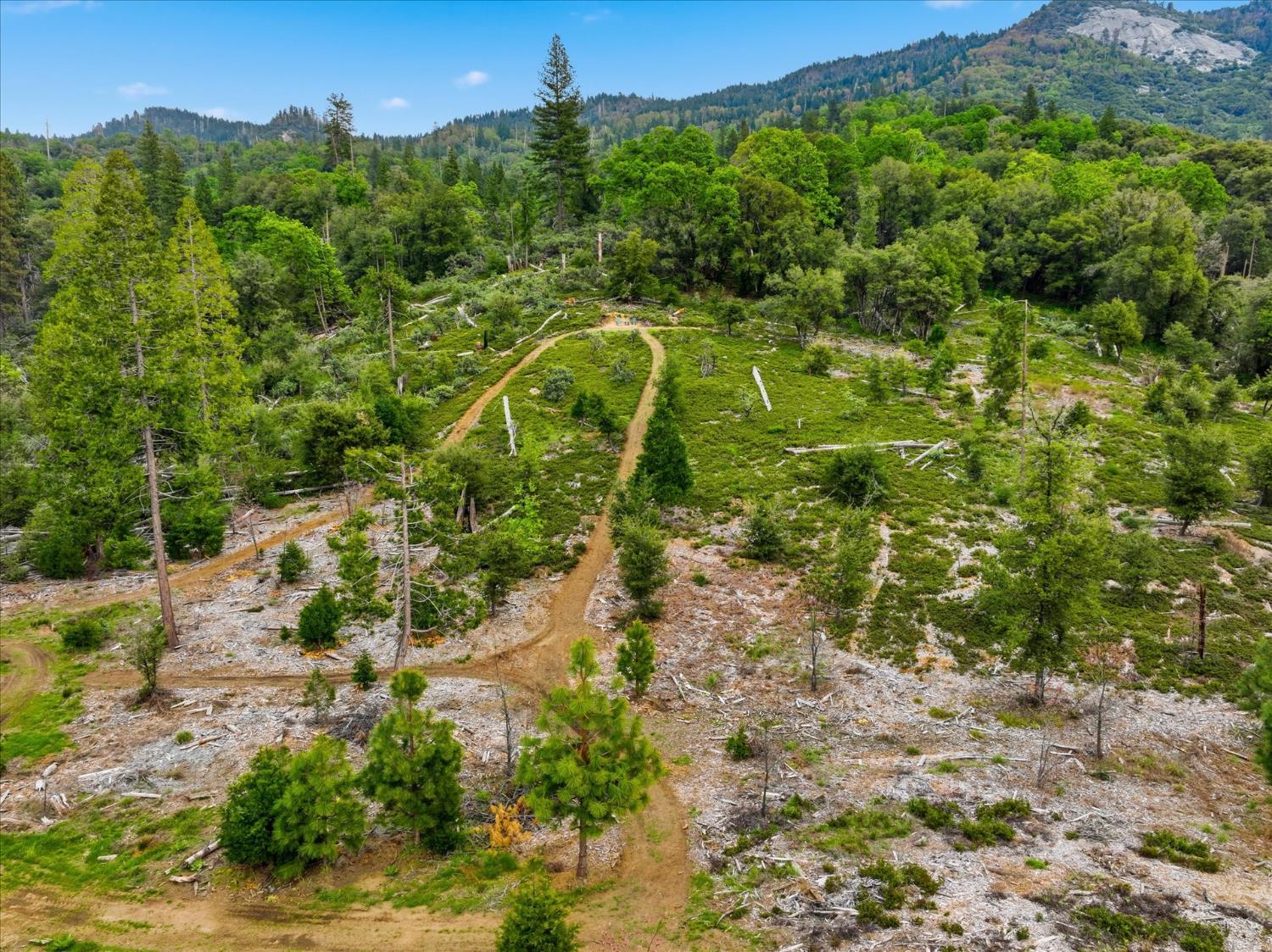 6132 Chowchilla Mountain Road Mariposa, CA 95338 - Photo 44 of 53