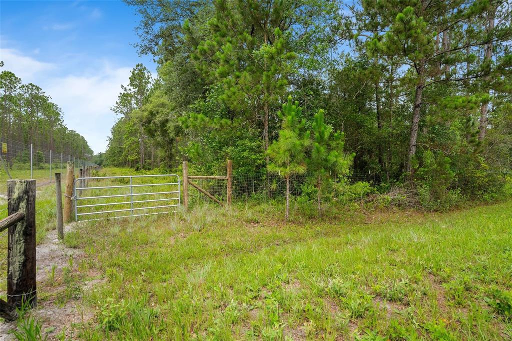 5753 Retreat Road Keystone Heights, FL 32656 - Photo 7 of 9