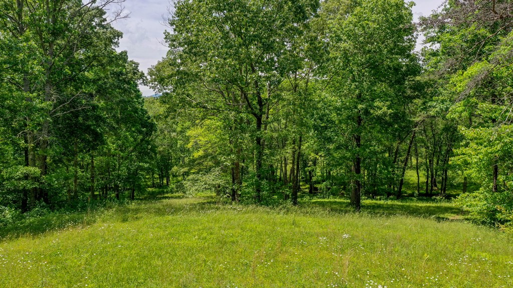 440 Hamby Road Murphy, NC 28906 - Photo 29 of 79 Gallery Image 29